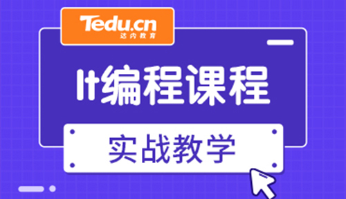 编程课主要学什么